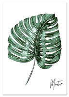 Plakat monstera podpis 70x100 cm
