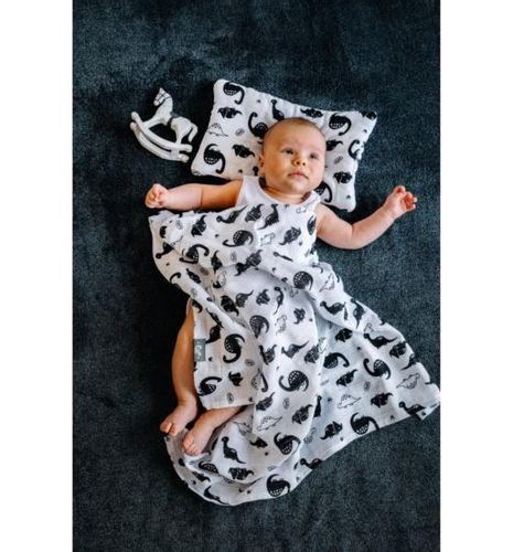 Bawełniana Poduszeczka (Dinozaury) na Arena.pl