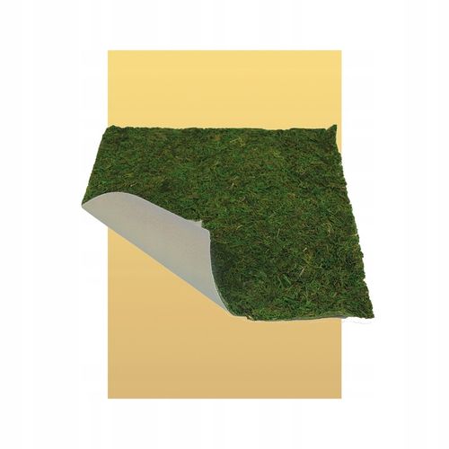 WYSUSZONY MECH NATURALNY NA PŁYCIE ARKUSZ DO DEKORACJI SZOPKI 60 x 40 CM na Arena.pl