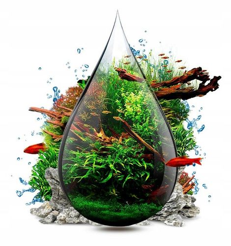 INVITAL Ferox 500 ml na Arena.pl