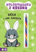 kolorowanka z kredką. królik 8832
