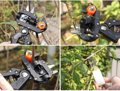 SEKATOR BLISTER NR:7031 na Arena.pl