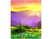 40X50CM KWIECISTA ŁĄKA OBRAZ