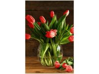 product-compare-58703355