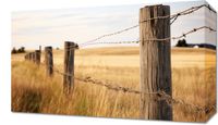 Obraz 50x30cm Płot na Polu
