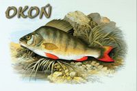 product-compare-52615337