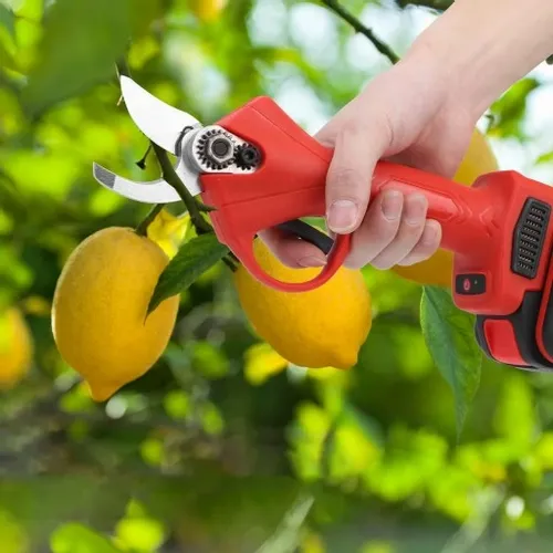 SEKATOR NOŻYCE ELEKTRYCZNY DO GAŁĘZI AKUMULATOROWY 2X BATERIA 30mm 21V na Arena.pl