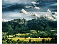 40X50CM SŁONECZNY DZIEŃ DOLINIE OBRAZ