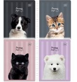 zeszyt a5/32k linia kolor puppy sign 6719 a'10