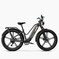 Fiido TITAN 2026 solidny niezastąpiony 55Nm 250W 14.5Ah 110KM 200kg