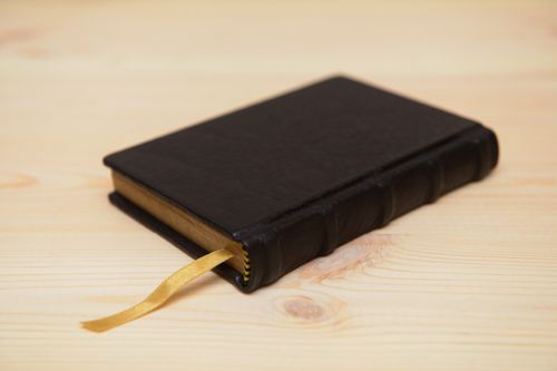 Owczarek Niemiecki - notes - 3480 na Arena.pl