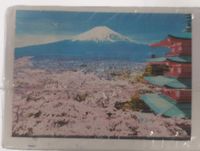 product-compare-62549031