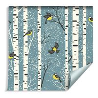 Tapeta Brzozy i Kolorowe Ptaki Zimą