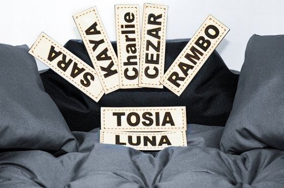 POSŁANIE dla PSA z IMIENIEM 100x75 + KOC POLAROWY zdjęcie 2