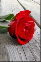 product-compare-58702723