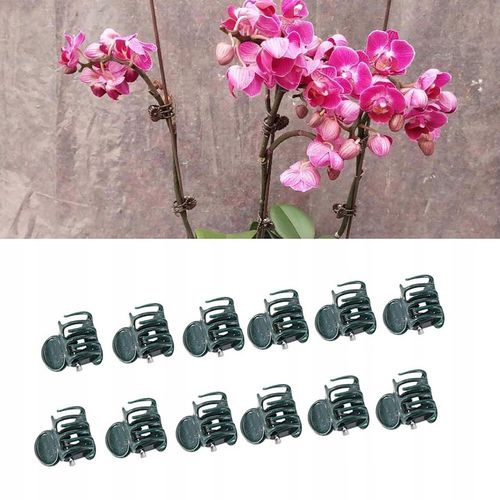 KLIPSY SPINKI DO ROŚLIN STORCZYKÓW CIEMNOZIELONE 100 SZT na Arena.pl