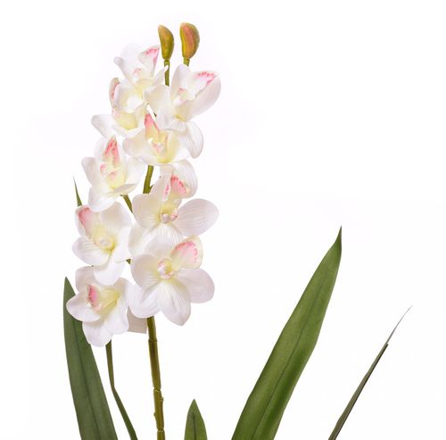 Storczyk Cymbidium kompozycja w białej donicy na Arena.pl