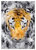 Plakat cyfrowy do wydruku tygrys