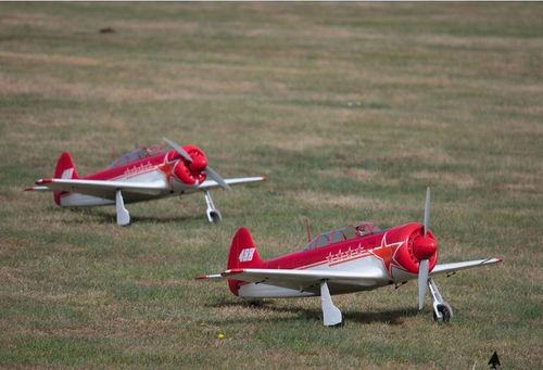 Yak-11 1450mm PNP na Arena.pl