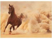 50X70CM KOŃ GALOPIE OBRAZ POKOJU DREWNINE
