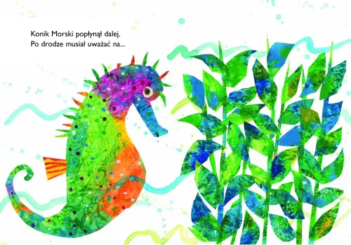 Konik morski na Arena.pl