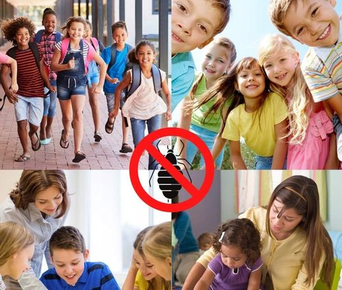 GUMKI PRZECIW WSZOM DO WŁOSÓW NA WSZY ODSTRASZAJĄCE DLA DZIECKA zestaw 4x na Arena.pl