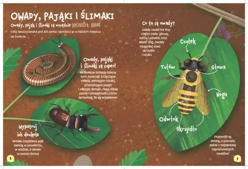 Świat Robali na Arena.pl