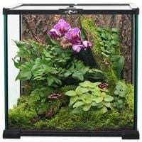 REPTI PLANET terrarium szklane 20x20x20cm