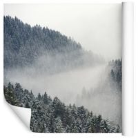 Fototapeta Las Drzewa Widoki CHMURY do Salonu 368cm x 254cm