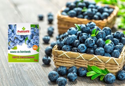 NAWÓZ DO BORÓWEK BORÓWKI AMERYKAŃSKIEJ KWAŚNOLUBNYCH ITP FRUKTOVIT 5 na Arena.pl