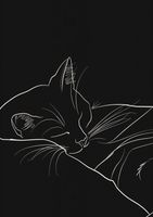 Plakat 59,4x84,1cm Nocny Spokój