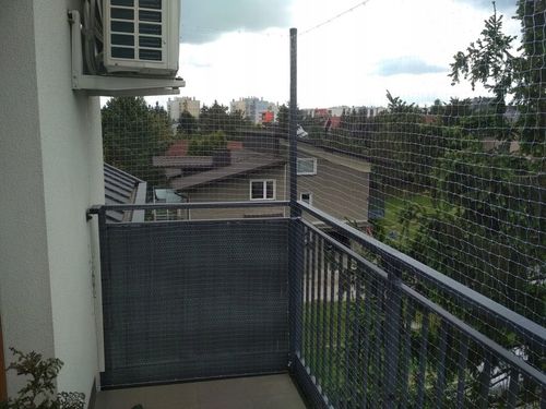 SIATKA PRZEZROCZYSTA NA BALKON DLA KOTA PTAKI 3x8 na Arena.pl