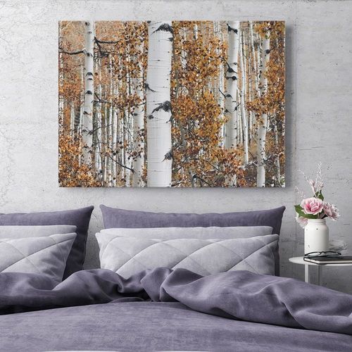 Obraz na płótnie - Canvas, Brzozy 90x60 na Arena.pl