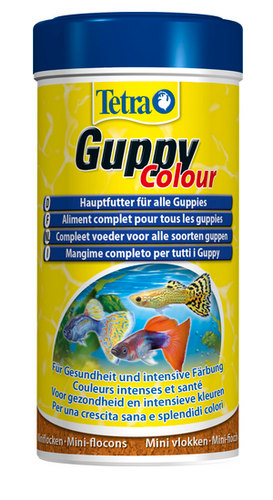 tetra guppy colour 250ml na Arena.pl