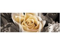 70 90CM OBRAZ 3 ELEM DELIKATNA RÓŻA ŚCIENNY DRUK PŁÓTNO