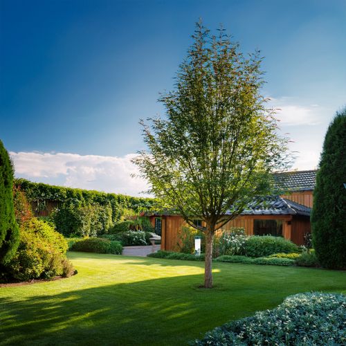 KARMNIK DLA PTAKÓW PRZEZROCZYSTY Z PODNÓŻKIEM na karmę Z DASZKIEM ZIARNA na Arena.pl