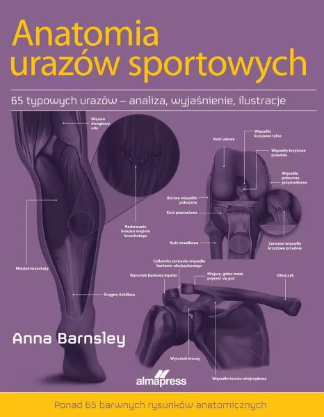 Anatomia urazów sportowych zdjęcie 1