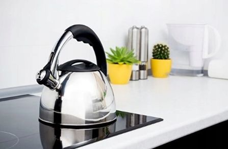 Kwas kwasek cytrynowy spożywczy E330 czysty 5kg zdjęcie 3