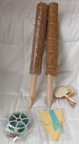 Kij kokosowy do roślin 2x 30cm na Arena.pl