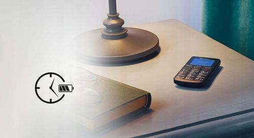 Telefon komórkowy Panasonic KX-TU110 32 MB / 512 MB 2G czarny na Arena.pl