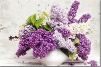 120CM 80CM OBRAZ ŚCIENNY BEZ