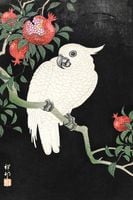 Plakat 20x30cm Cockatoo and Pomegranate, Koson Japoński Vintage do Salonu