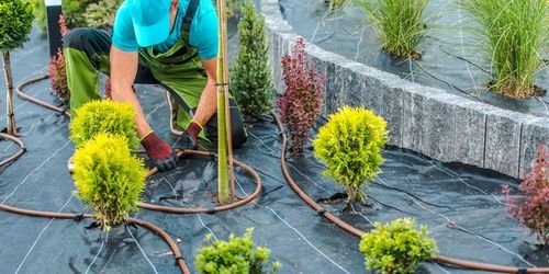 Linia kroplująca 50m z kompensacją ciśnienia zestaw PREMIUM seria BRĄZ na Arena.pl