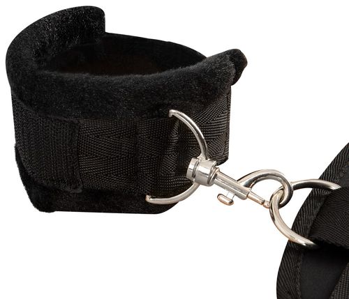 bad kitty neck wrist ankle res na Arena.pl