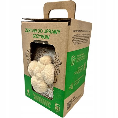 Soplówka Jeżowata MUSHROOMS GROW KIT grzybnia na Arena.pl