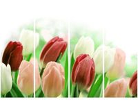 120CM 80 OBRAZ 4 ELEM CZERWONE TULIPANY ŚCIENNY