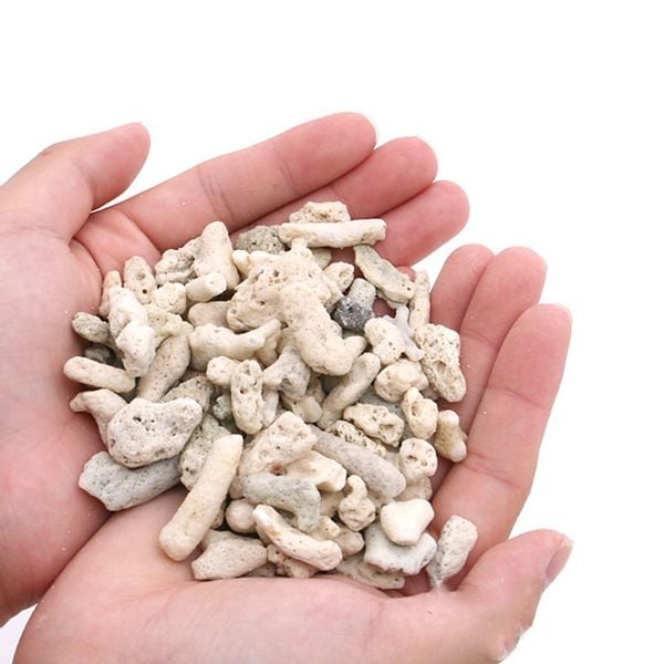 Grys koralowy 3 - 5 cm 5l zdjęcie 1