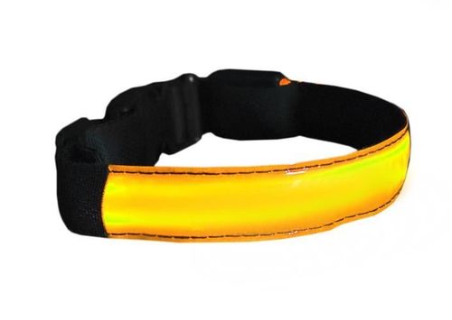 Obroża LED żółta - M na Arena.pl