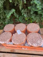 Grit gryt kołacz czerwony w miseczce versele laga