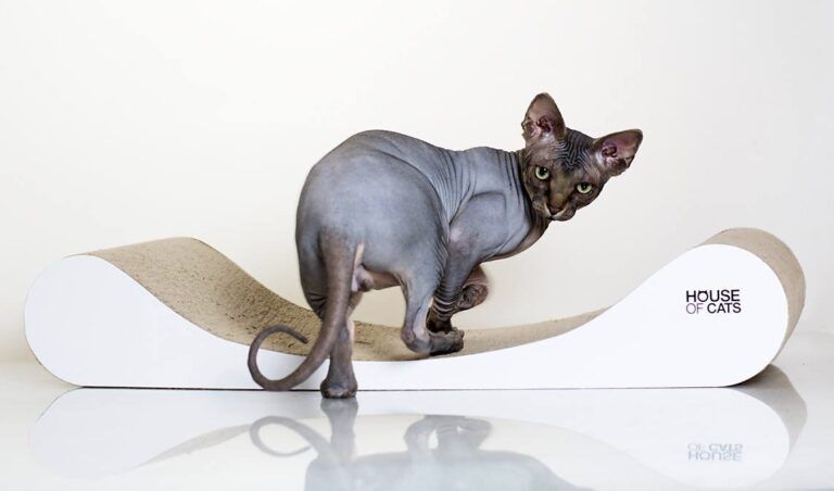 Drapak dla kotów Sofa Drapak dla kota Sofa White zdjęcie 4